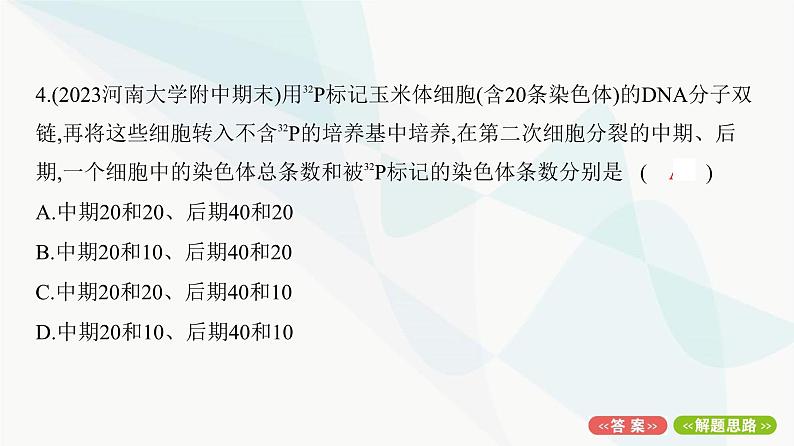 人教版高中生物必修2重点专题卷5细胞分裂与DNA复制标记综合课件08