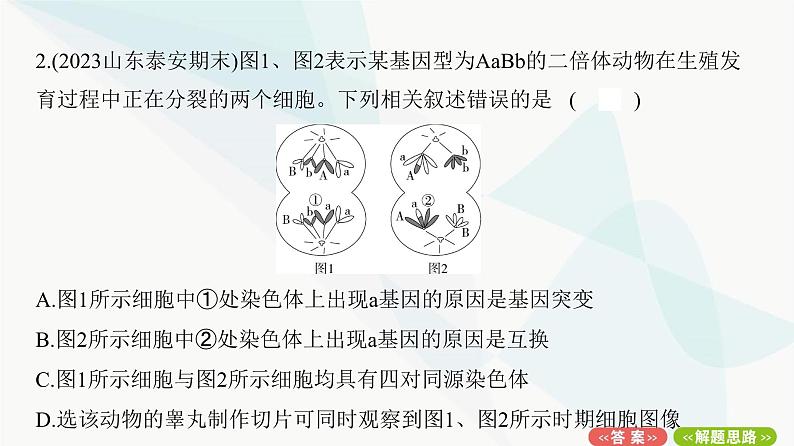 人教版高中生物必修2重点专题卷6生物变异类型的判断与分析课件第4页