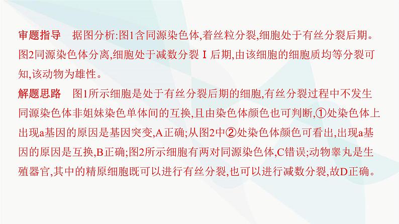 人教版高中生物必修2重点专题卷6生物变异类型的判断与分析课件第5页