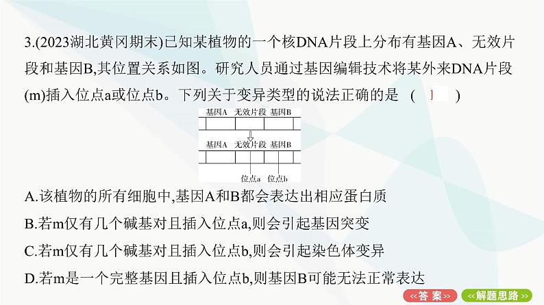 人教版高中生物必修2重点专题卷6生物变异类型的判断与分析课件第6页