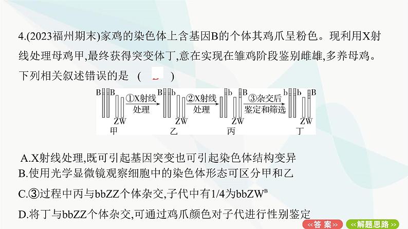 人教版高中生物必修2重点专题卷6生物变异类型的判断与分析课件第8页