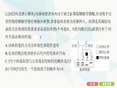 人教版高中生物必修2重点专题卷7遗传系谱图的分析和计算课件