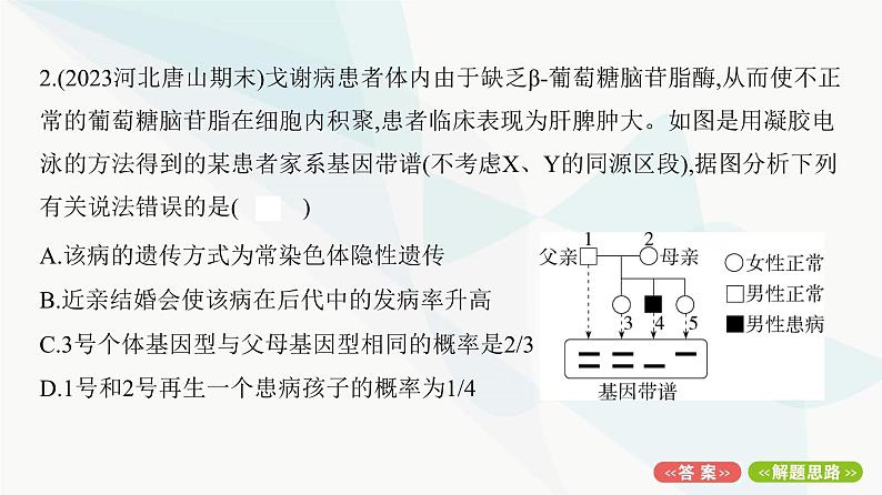 人教版高中生物必修2重点专题卷7遗传系谱图的分析和计算课件第4页