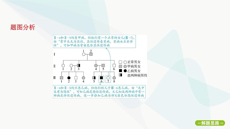 人教版高中生物必修2重点专题卷7遗传系谱图的分析和计算课件第7页