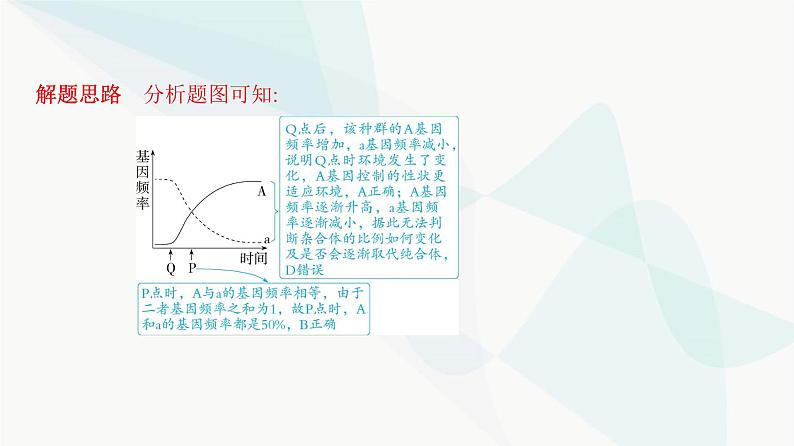 人教版高中生物必修2重点专题卷8基因频率、基因型频率的相关计算课件第8页