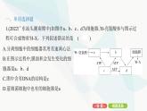 人教版高中生物必修1重點(diǎn)專題卷2細(xì)胞結(jié)構(gòu)模式圖綜合課件