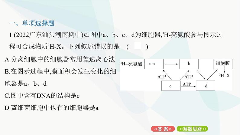 人教版高中生物必修1重点专题卷2细胞结构模式图综合课件第2页