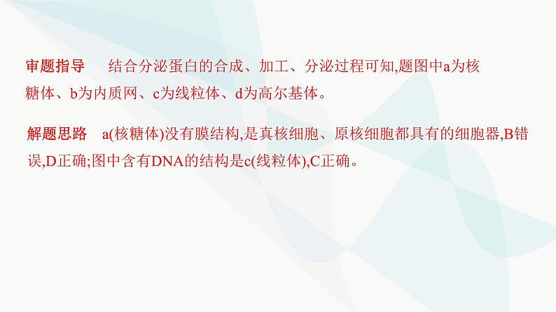 人教版高中生物必修1重点专题卷2细胞结构模式图综合课件第3页