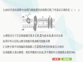 人教版高中生物必修1重點(diǎn)專題卷2細(xì)胞結(jié)構(gòu)模式圖綜合課件