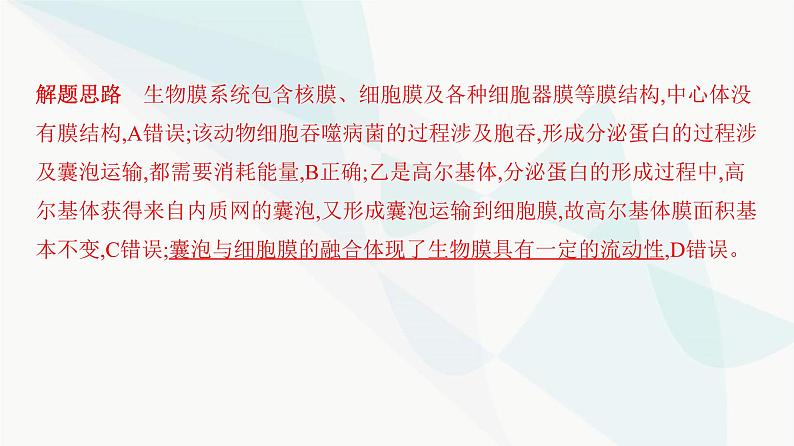 人教版高中生物必修1重点专题卷2细胞结构模式图综合课件第7页