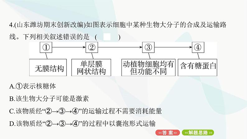 人教版高中生物必修1重点专题卷2细胞结构模式图综合课件第8页