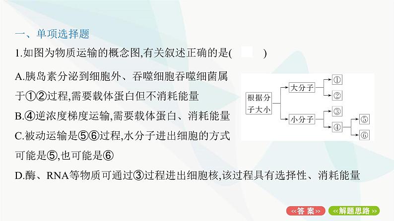 人教版高中生物必修1重点专题卷3生物膜系统和物质跨膜运输的关系课件第2页