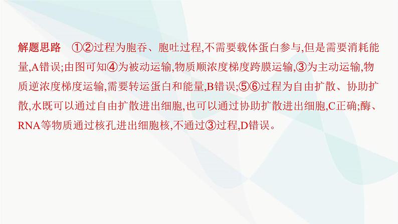 人教版高中生物必修1重点专题卷3生物膜系统和物质跨膜运输的关系课件第3页