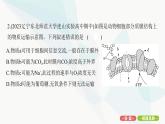 人教版高中生物必修1重點(diǎn)專題卷3生物膜系統(tǒng)和物質(zhì)跨膜運(yùn)輸?shù)年P(guān)系課件
