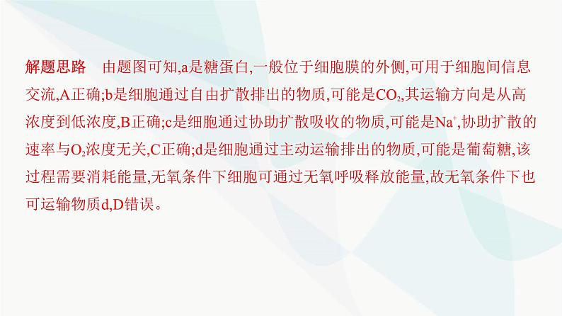 人教版高中生物必修1重点专题卷3生物膜系统和物质跨膜运输的关系课件第5页