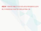 人教版高中生物必修1重点专题卷4与酶相关的实验探究课件
