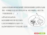 人教版高中生物必修1重点专题卷6光合作用与细胞呼吸的综合探究课件