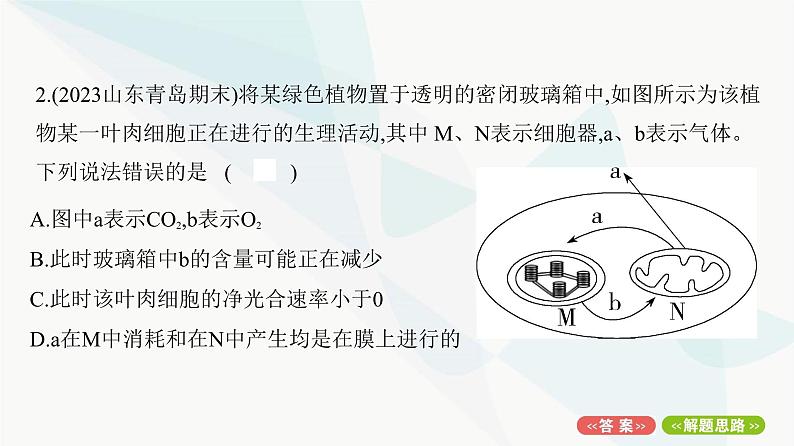 人教版高中生物必修1重点专题卷6光合作用与细胞呼吸的综合探究课件第4页