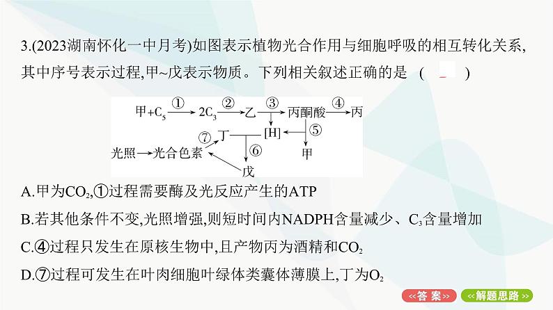 人教版高中生物必修1重点专题卷6光合作用与细胞呼吸的综合探究课件第6页