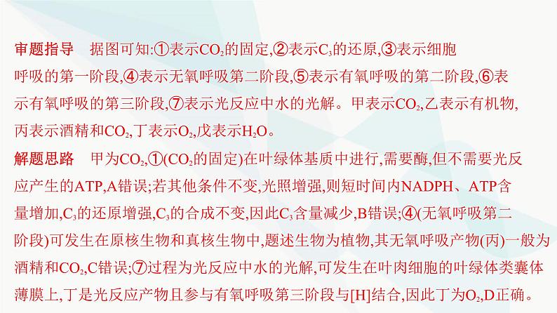 人教版高中生物必修1重点专题卷6光合作用与细胞呼吸的综合探究课件第7页