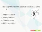 人教版高中生物必修1重點(diǎn)專題卷7細(xì)胞分裂圖形、曲線分析課件