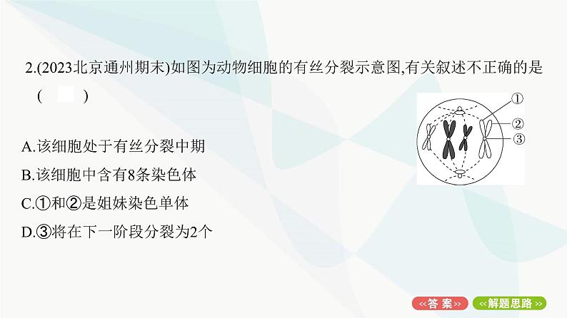 人教版高中生物必修1重点专题卷7细胞分裂图形、曲线分析课件第4页