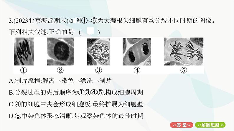 人教版高中生物必修1重点专题卷7细胞分裂图形、曲线分析课件第6页