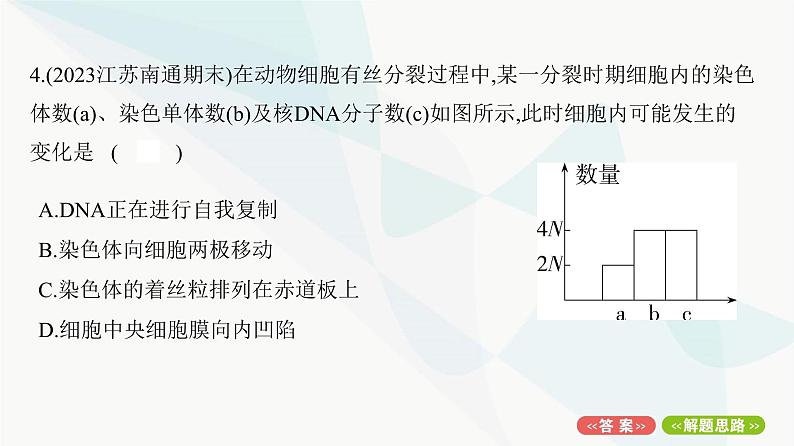 人教版高中生物必修1重点专题卷7细胞分裂图形、曲线分析课件第8页