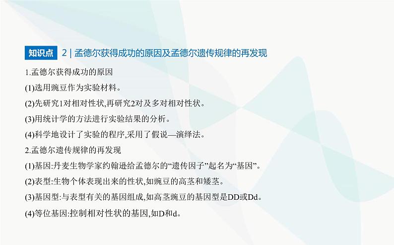 人教版高中生物必修2第1章遗传因子的发现第2节孟德尔的豌豆杂交实验(二)课件第4页