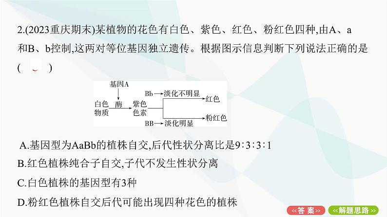 人教版高中生物必修2重点专题卷2自由组合定律的异常分离比课件04