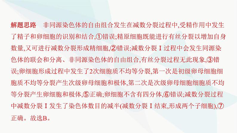 人教版高中生物必修2重点专题卷3有丝分裂与减数分裂的综合分析课件03