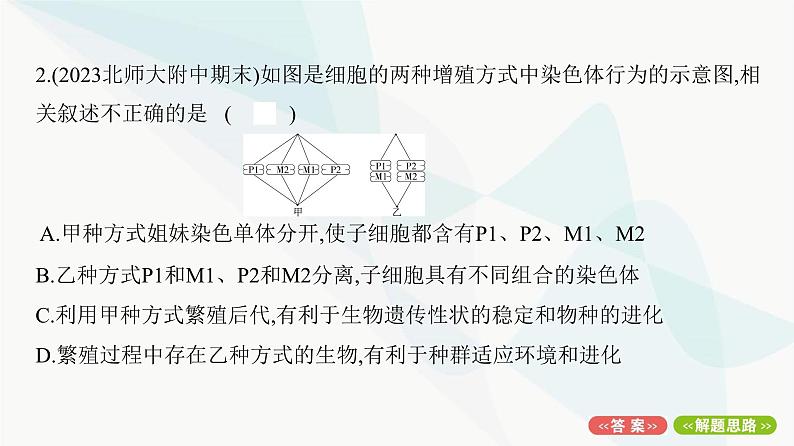 人教版高中生物必修2重点专题卷3有丝分裂与减数分裂的综合分析课件04