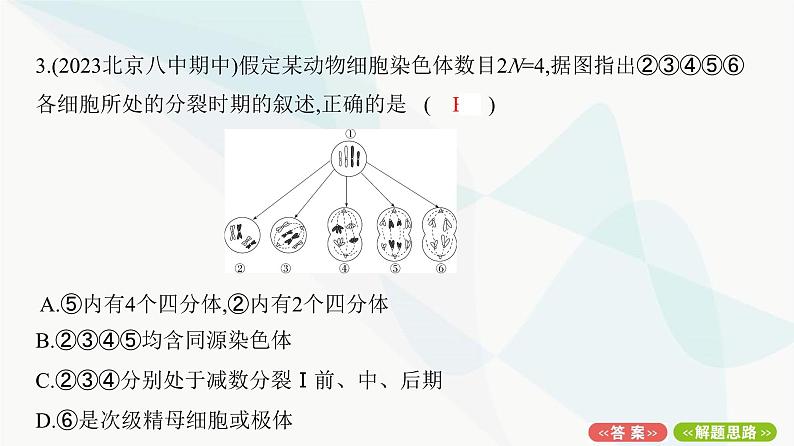 人教版高中生物必修2重点专题卷3有丝分裂与减数分裂的综合分析课件06