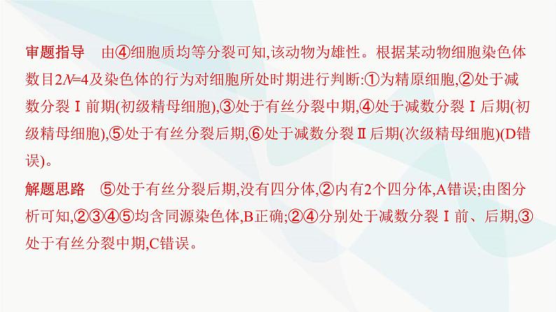 人教版高中生物必修2重点专题卷3有丝分裂与减数分裂的综合分析课件07