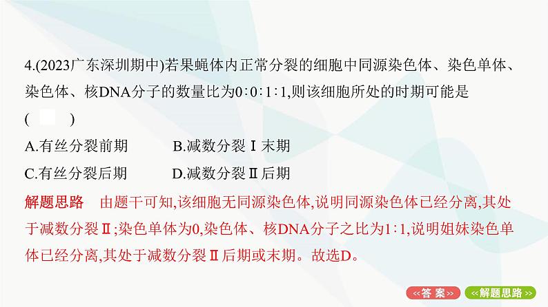 人教版高中生物必修2重点专题卷3有丝分裂与减数分裂的综合分析课件08