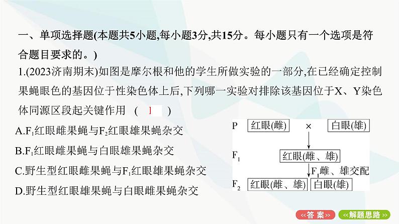 人教版高中生物必修2重点专题卷4基因位置的探究与分析课件02