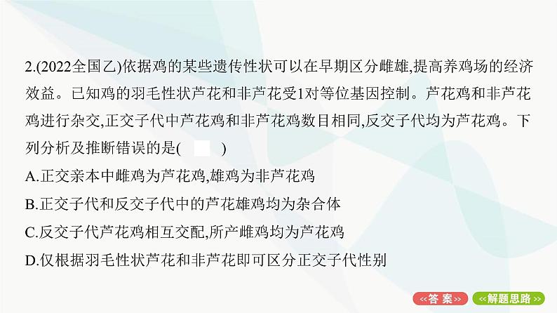 人教版高中生物必修2重点专题卷4基因位置的探究与分析课件04