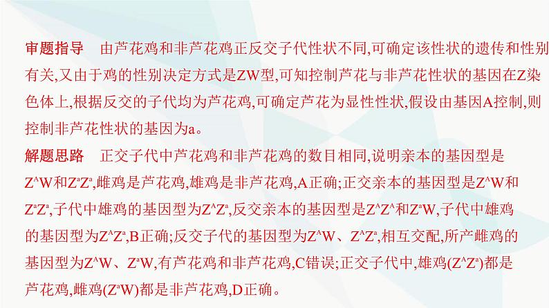 人教版高中生物必修2重点专题卷4基因位置的探究与分析课件05