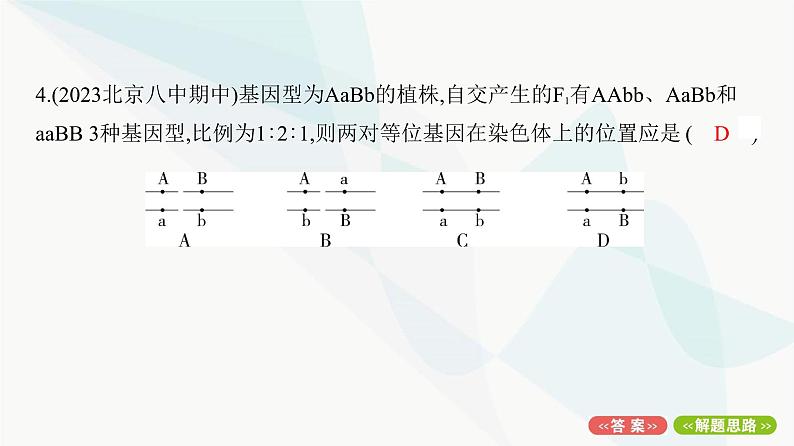 人教版高中生物必修2重点专题卷4基因位置的探究与分析课件08