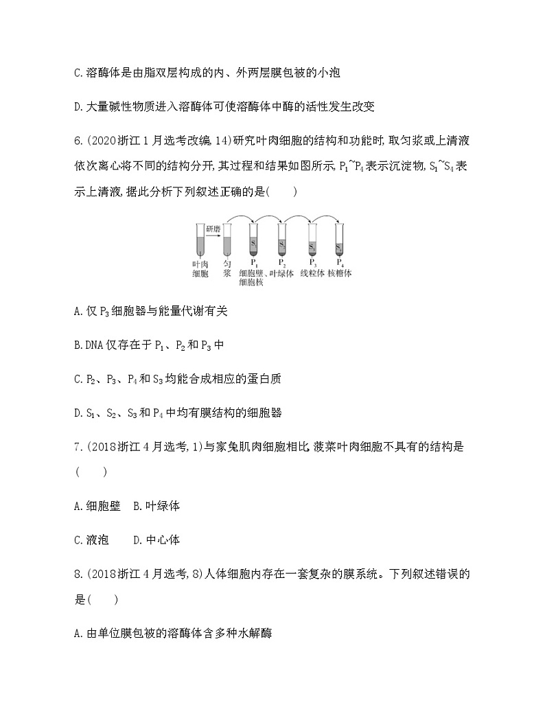 浙科版高中生物必修1第二章细胞的结构综合拔高练含答案03