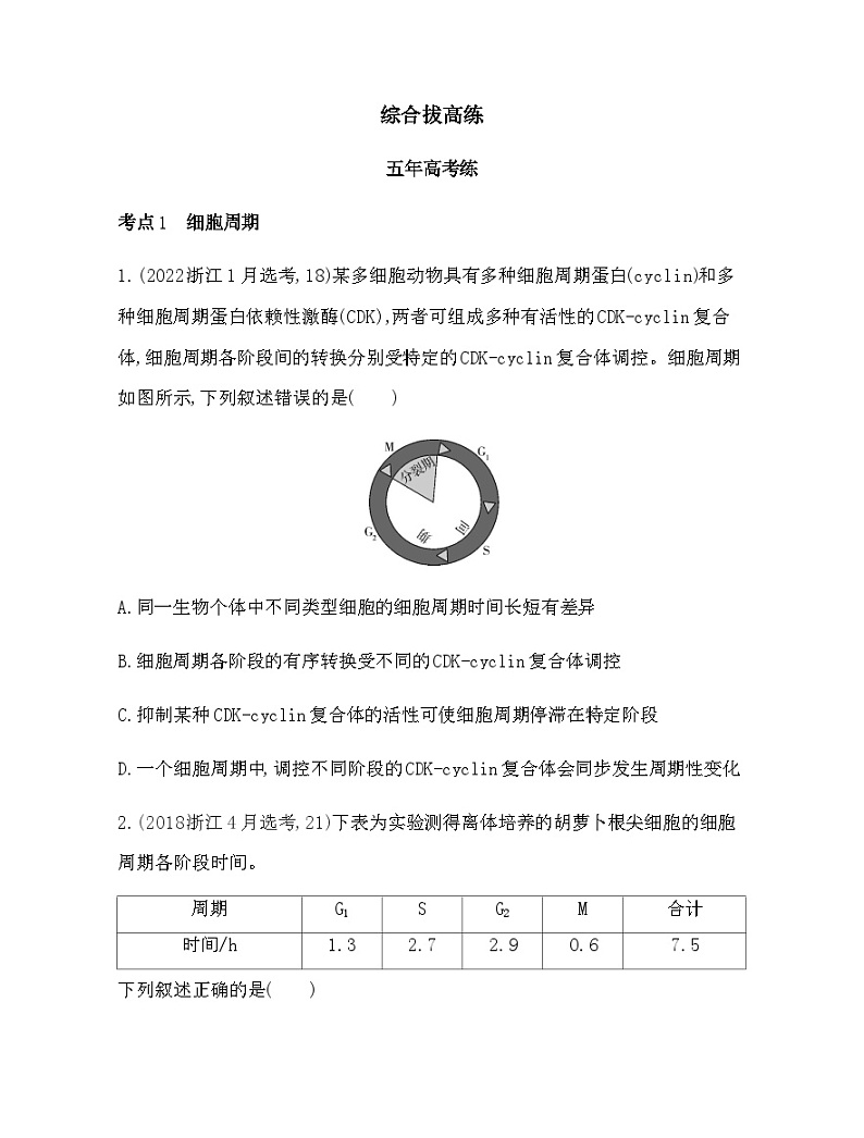 浙科版高中生物必修1第四章细胞的生命历程综合拔高练含答案01