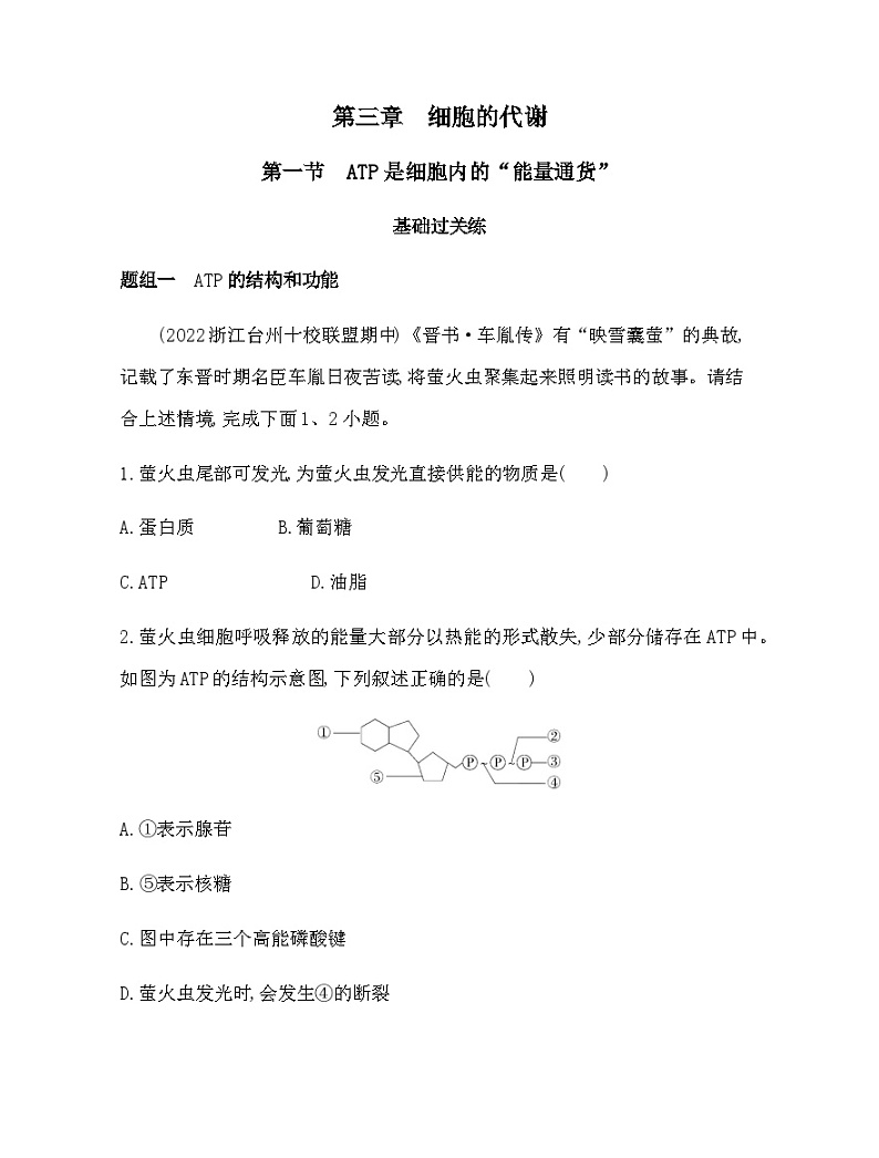 浙科版高中生物必修1第三章细胞的代谢第一节ATP是细胞内的“能量通货”练习含答案01