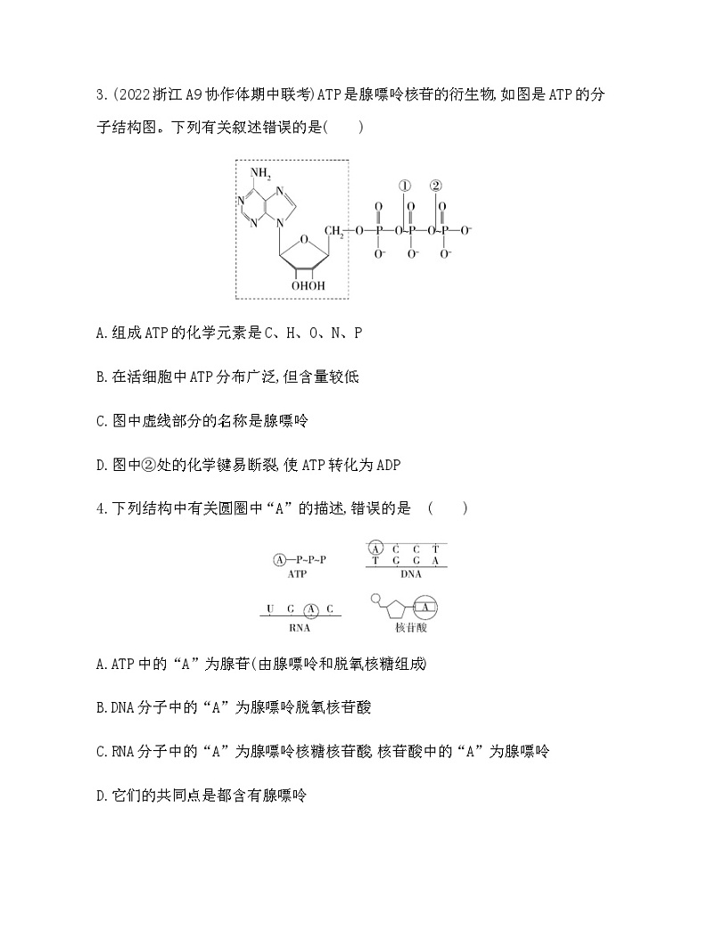 浙科版高中生物必修1第三章细胞的代谢第一节ATP是细胞内的“能量通货”练习含答案02