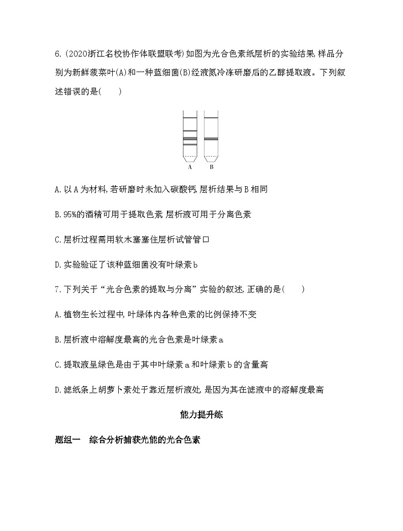 浙科版高中生物必修1第三章细胞的代谢第五节光合作用将光能转化为化学能练习含答案第3页