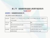 浙科版高中生物必修1第二章细胞的结构第二节细胞膜控制细胞与周围环境的联系课件