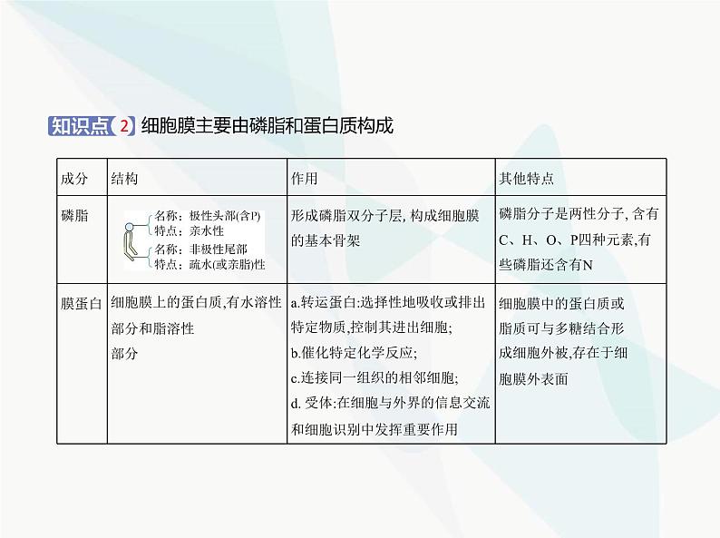 浙科版高中生物必修1第二章细胞的结构第二节细胞膜控制细胞与周围环境的联系课件05