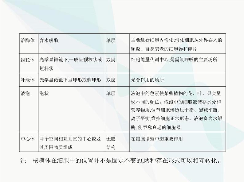 浙科版高中生物必修1第二章细胞的结构第三节细胞质是多项生命活动的场所课件第4页