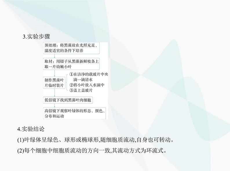 浙科版高中生物必修1第二章细胞的结构第三节细胞质是多项生命活动的场所课件第7页