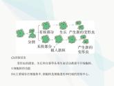 浙科版高中生物必修1第二章细胞的结构第四节细胞核是细胞生命活动的控制中心课件