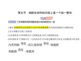 浙科版高中生物必修1第二章细胞的结构第五节细胞在结构和功能上是一个统一整体课件